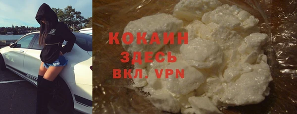 крисы Пересвет