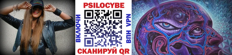 где купить наркоту  Эртиль  Галлюциногенные грибы мухоморы 
